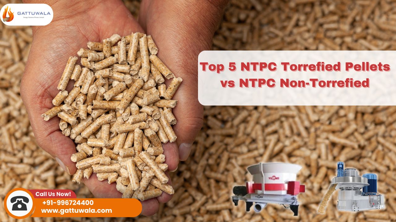 Top 5 NTPC Torrefied Pellets vs NTPC Non-Torrefied