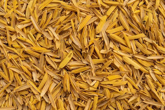 RICE HUSK