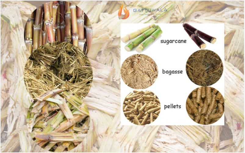 Investment Plan of Bagasse Pellet Fuel in India