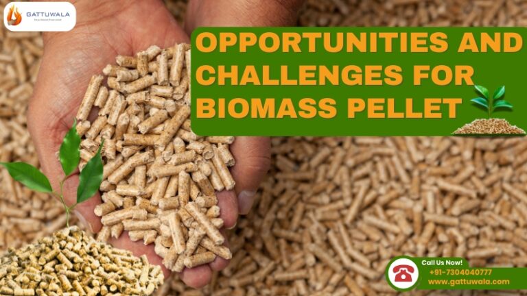 Opportunities and Challenges for Biomass Pellet