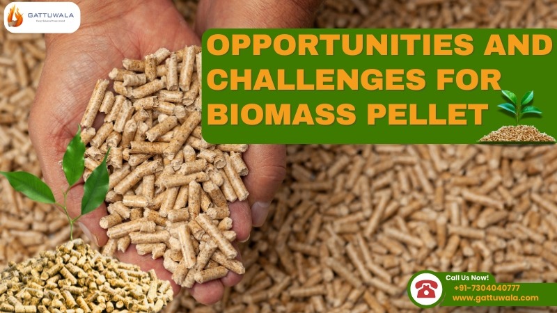 Opportunities and Challenges for Biomass Pellet
